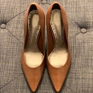 Brand new shoes, never got to wear.